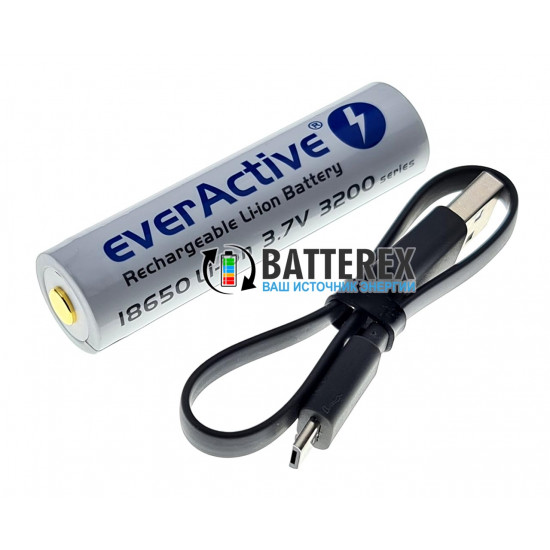Акумулятор 18650 із зарядкою від USB Everactive 3200mah 3,7V Protected з захистом + кейс для зберігання та кабель для зарядки