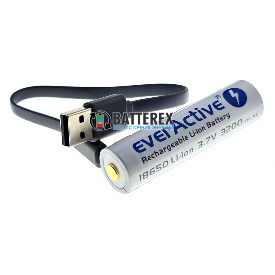 Акумулятор 18650 із зарядкою від USB Everactive 3200mah 3,7V Protected з захистом + кейс для зберігання та кабель для зарядки