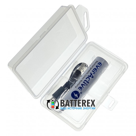 Акумулятор 18650 із зарядкою від USB Everactive 3200mah 3,7V Protected з захистом + кейс для зберігання та кабель для зарядки