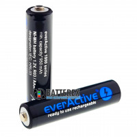 AAA EverActive 1000mah Limited Edition высокотоковые с низким саморазрядом - поштучно - цена за 1 шт.