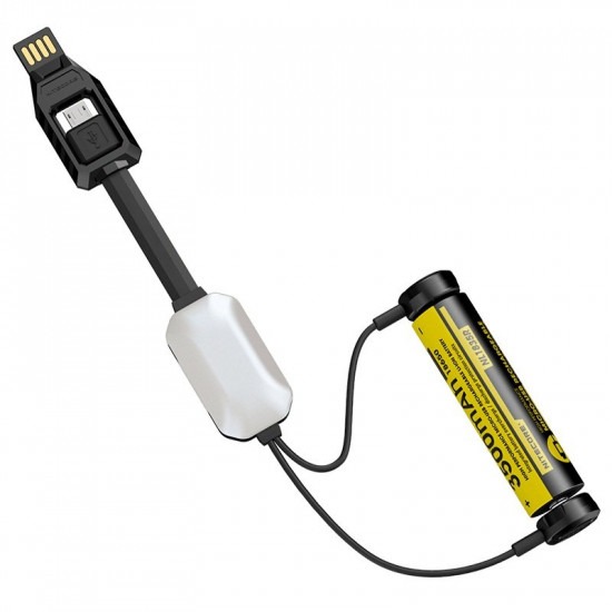 Зарядний пристрій Nitecore LC10 для акумуляторів Li-ion